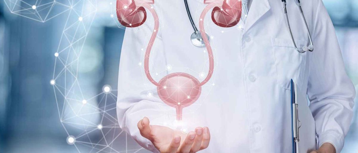 Extractele de urzică și roiniță – Ajută la sănătatea urinară în cazul bărbaților?