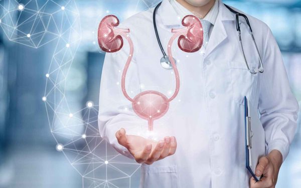 Extractele de urzică și roiniță – Ajută la sănătatea urinară în cazul bărbaților?